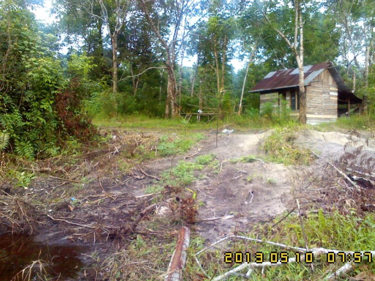 IMG-20230526-WA0032.jpg
