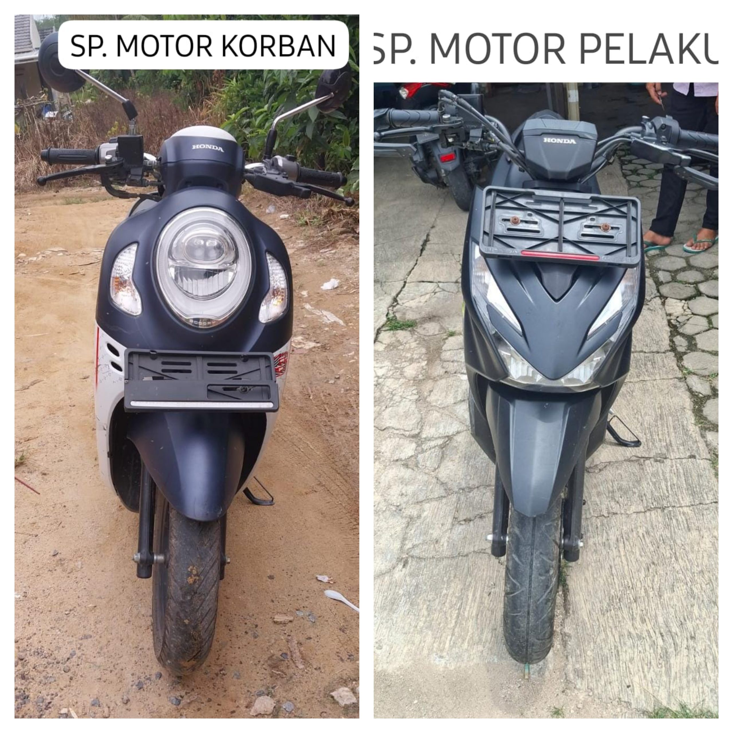 InCollage_20251110_153524287