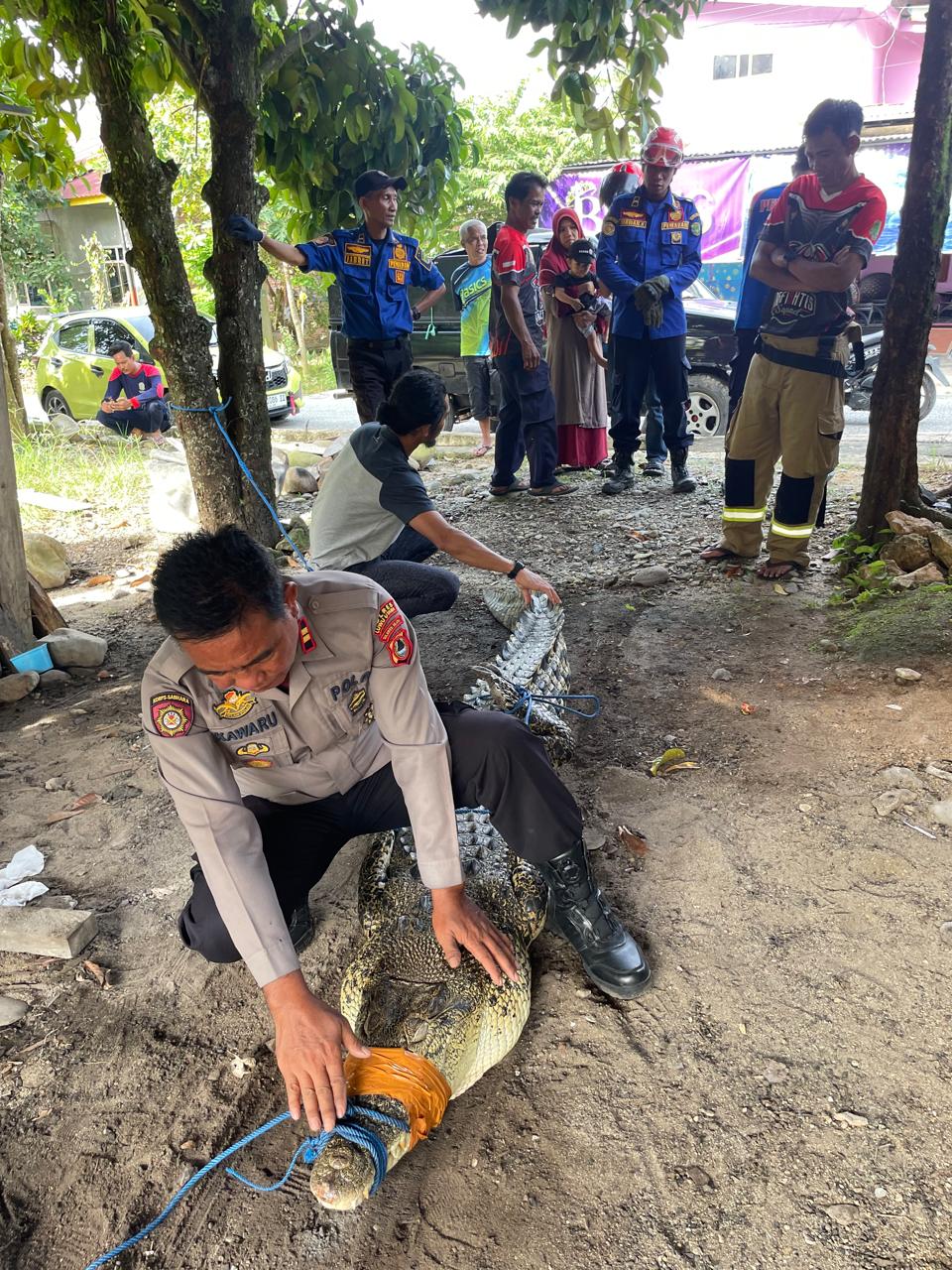 WhatsApp Image 2025-11-23 at 17.54.23